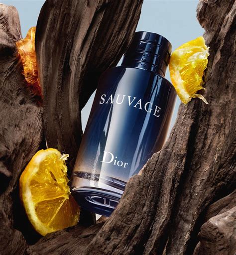 dior eau sauvage edt storia|eau sauvage de chez dior.